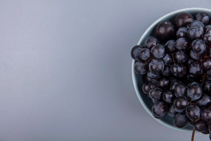 Nutrisi Blueberry 