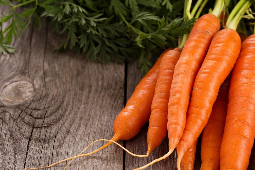 Nutrisi Fresh Vision untuk anak-anak